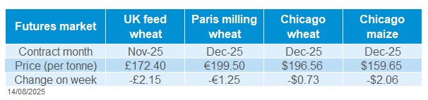 Grain futures 11 08 2025